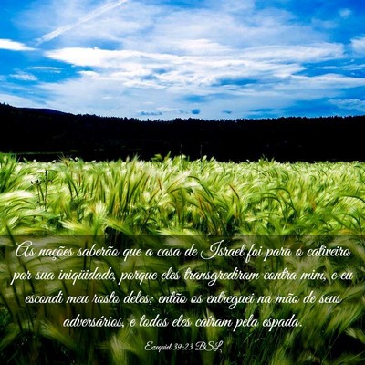 Picture 03 - Ezequiel 39:23 BSL - As nações saberão que a casa de Israel foi - Bible Verse Picture