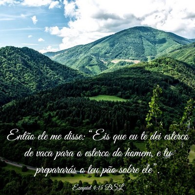 Picture 03 - Ezequiel 4:15 BSL - Então ele me disse: “Eis que eu te dei esterco - Bible Verse Picture