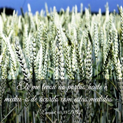 Picture 03 - Ezequiel 40:35 BSL - Ele me levou ao portão norte e mediu-o de acordo - Bible Verse Picture
