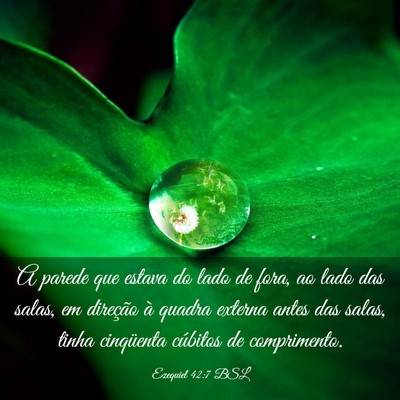 Picture 03 - Ezequiel 42:7 BSL - A parede que estava do lado de fora, ao lado das - Bible Verse Picture