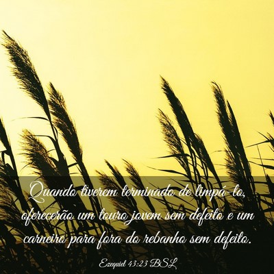 Picture 03 - Ezequiel 43:23 BSL - Quando tiverem terminado de limpá-lo, - Bible Verse Picture