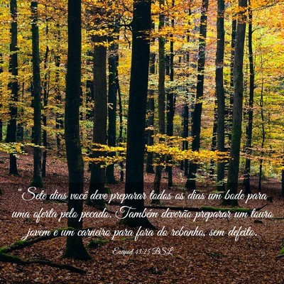 Picture 03 - Ezequiel 43:25 BSL - “Sete dias você deve preparar todos os dias um - Bible Verse Picture