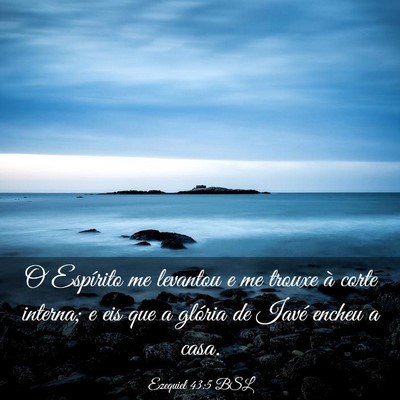 Picture 03 - Ezequiel 43:5 BSL - O Espírito me levantou e me trouxe à corte - Bible Verse Picture