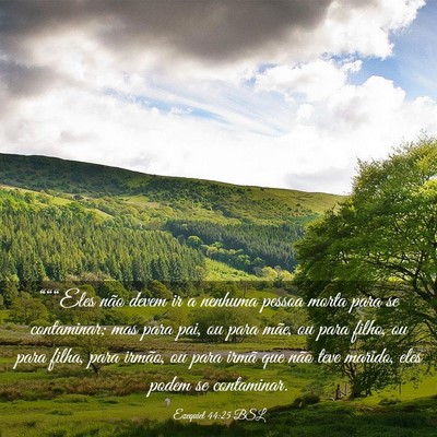 Picture 03 - Ezequiel 44:25 BSL - “““Eles não devem ir a nenhuma pessoa - Bible Verse Picture