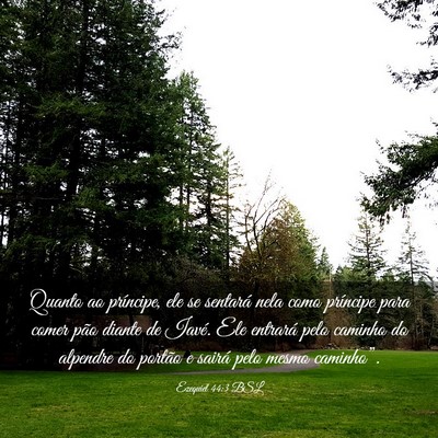 Picture 03 - Ezequiel 44:3 BSL - Quanto ao príncipe, ele se sentará nela como - Bible Verse Picture