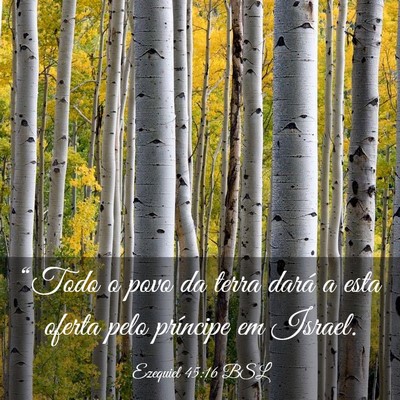 Picture 03 - Ezequiel 45:16 BSL - “Todo o povo da terra dará a esta oferta pelo - Bible Verse Picture