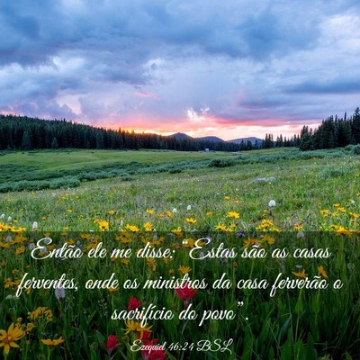 Picture 03 - Ezequiel 46:24 BSL - Então ele me disse: “Estas são as casas - Bible Verse Picture