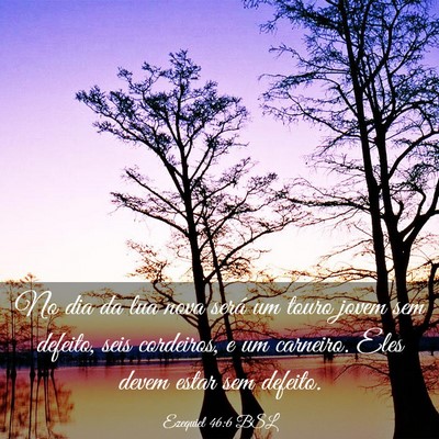 Picture 03 - Ezequiel 46:6 BSL - No dia da lua nova será um touro jovem sem - Bible Verse Picture