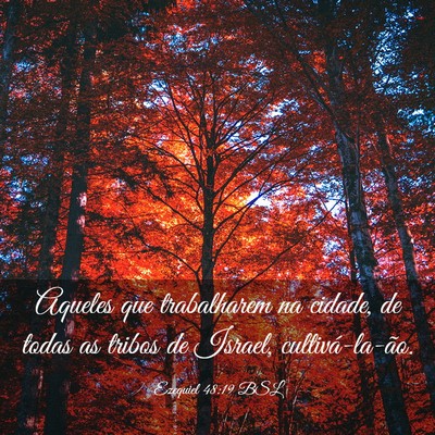 Picture 03 - Ezequiel 48:19 BSL - Aqueles que trabalharem na cidade, de todas as - Bible Verse Picture