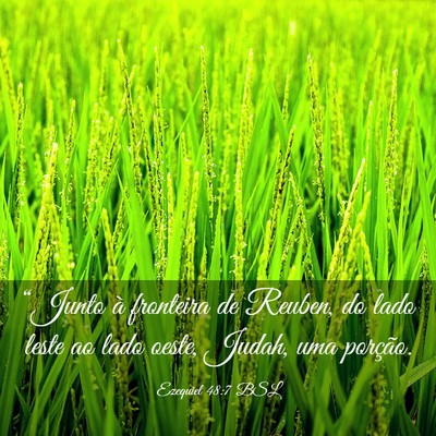 Picture 03 - Ezequiel 48:7 BSL - “Junto à fronteira de Reuben, do lado leste ao - Bible Verse Picture