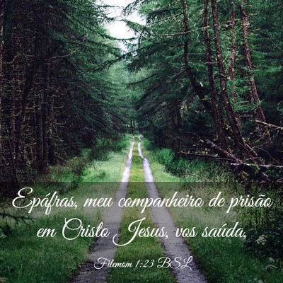 Picture 03 - Filemom 1:23 BSL - Epáfras, meu companheiro de prisão em Cristo - Bible Verse Picture