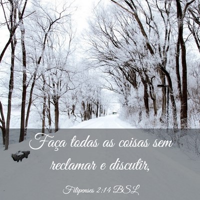 Picture 03 - Filipenses 2:14 BSL - Faça todas as coisas sem reclamar e - Bible Verse Picture