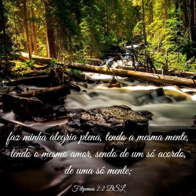 Picture 03 - Filipenses 2:2 BSL - faz minha alegria plena, tendo a mesma mente, - Bible Verse Picture