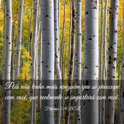 Picture 03 - Filipenses 2:20 BSL - Pois não tenho mais ninguém que se preocupe com - Bible Verse Picture