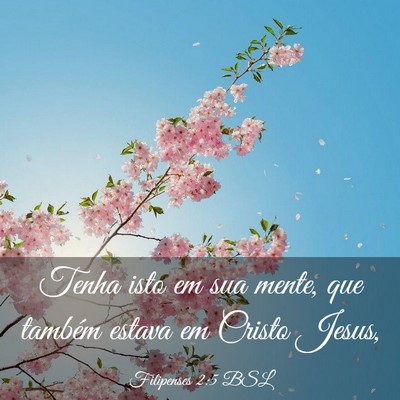 Picture 03 - Filipenses 2:5 BSL - Tenha isto em sua mente, que também estava em - Bible Verse Picture