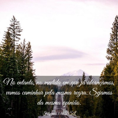 Picture 03 - Filipenses 3:16 BSL - No entanto, na medida em que já alcançamos, - Bible Verse Picture