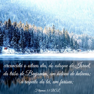 Picture 03 - Filipenses 3:5 BSL - circuncidei o oitavo dia, do estoque de Israel, - Bible Verse Picture