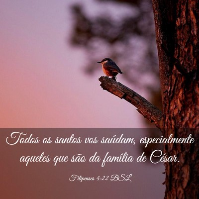 Picture 03 - Filipenses 4:22 BSL - Todos os santos vos saúdam, especialmente - Bible Verse Picture