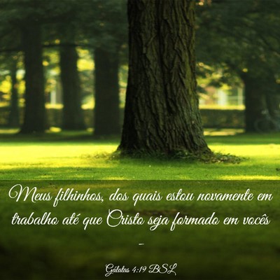 Picture 03 - Gálatas 4:19 BSL - Meus filhinhos, dos quais estou novamente em - Bible Verse Picture