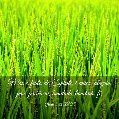 Picture 03 - Gálatas 5:22 BSL - Mas o fruto do Espírito é amor, alegria, paz, - Bible Verse Picture