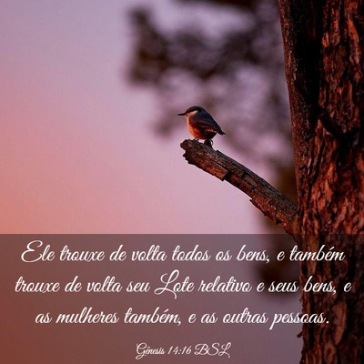 Picture 03 - Gênesis 14:16 BSL - Ele trouxe de volta todos os bens, e também - Bible Verse Picture