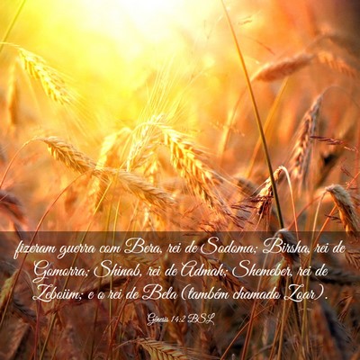 Picture 03 - Gênesis 14:2 BSL - fizeram guerra com Bera, rei de Sodoma; Birsha, - Bible Verse Picture