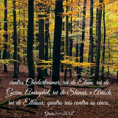 Picture 03 - Gênesis 14:9 BSL - contra Chedorlaomer, rei de Elam, rei de Goiim, - Bible Verse Picture
