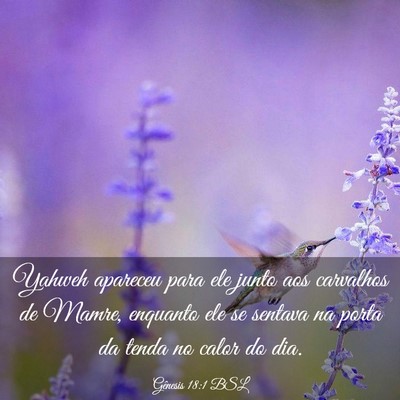 Picture 03 - Gênesis 18:1 BSL - Yahweh apareceu para ele junto aos carvalhos de - Bible Verse Picture