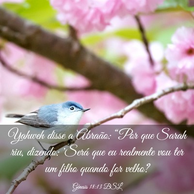 Picture 03 - Gênesis 18:13 BSL - Yahweh disse a Abraão: “Por que Sarah riu, - Bible Verse Picture