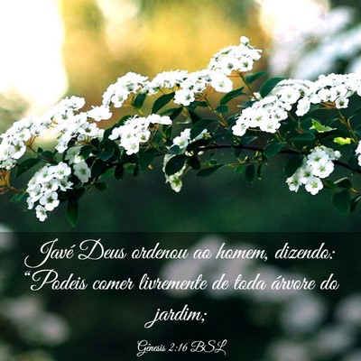 Picture 03 - Gênesis 2:16 BSL - Javé Deus ordenou ao homem, dizendo: “Podeis - Bible Verse Picture
