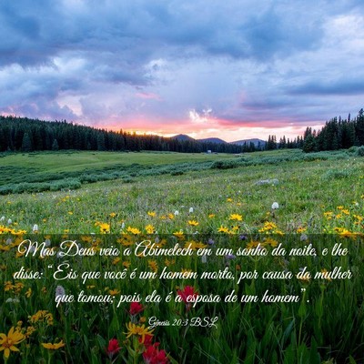 Picture 03 - Gênesis 20:3 BSL - Mas Deus veio a Abimelech em um sonho da noite, e - Bible Verse Picture
