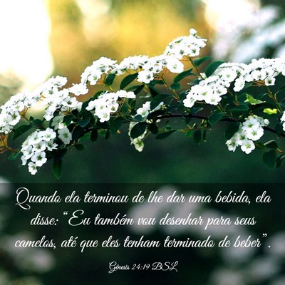 Picture 03 - Gênesis 24:19 BSL - Quando ela terminou de lhe dar uma bebida, ela - Bible Verse Picture