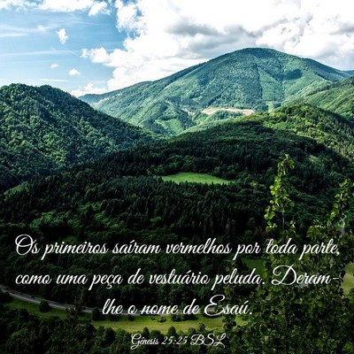 Picture 03 - Gênesis 25:25 BSL - Os primeiros saíram vermelhos por toda parte, - Bible Verse Picture