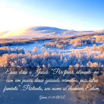 Picture 03 - Gênesis 25:30 BSL - Esau disse a Jacob: “Por favor, alimente-me com - Bible Verse Picture