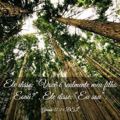 Picture 03 - Gênesis 27:24 BSL - Ele disse: “Você é realmente meu filho - Bible Verse Picture
