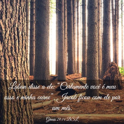 Picture 03 - Gênesis 29:14 BSL - Laban disse a ele: “Certamente você é meu - Bible Verse Picture