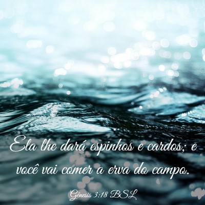 Picture 03 - Gênesis 3:18 BSL - Ela lhe dará espinhos e cardos; e você vai - Bible Verse Picture