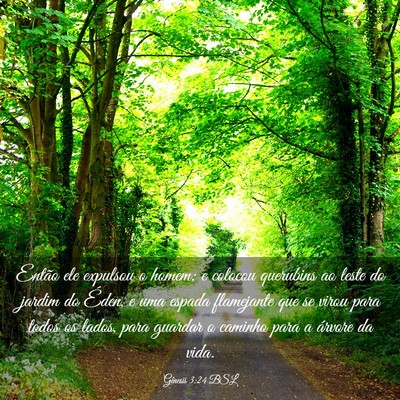 Picture 03 - Gênesis 3:24 BSL - Então ele expulsou o homem; e colocou querubins - Bible Verse Picture