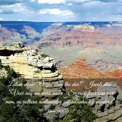 Picture 03 - Gênesis 30:31 BSL - Laban disse: “O que devo lhe dar?” Jacob - Bible Verse Picture