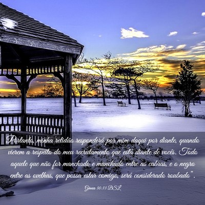 Picture 03 - Gênesis 30:33 BSL - Portanto, minha retidão responderá por mim - Bible Verse Picture