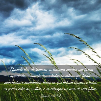 Picture 03 - Gênesis 30:35 BSL - Naquele dia, ele removeu os caprinos machos que - Bible Verse Picture