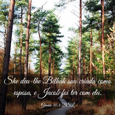 Picture 03 - Gênesis 30:4 BSL - She deu-lhe Bilhah sua criada como esposa, e - Bible Verse Picture