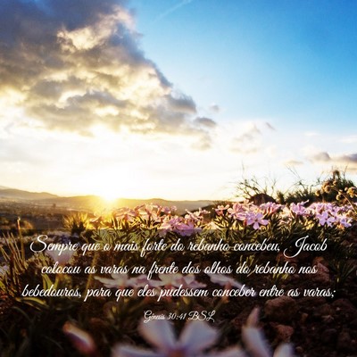 Picture 03 - Gênesis 30:41 BSL - Sempre que o mais forte do rebanho concebeu, - Bible Verse Picture