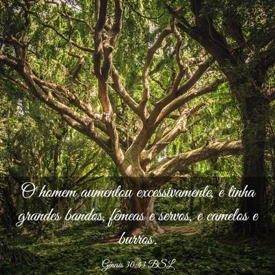 Picture 03 - Gênesis 30:43 BSL - O homem aumentou excessivamente, e tinha grandes - Bible Verse Picture
