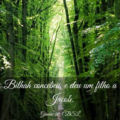Picture 03 - Gênesis 30:5 BSL - Bilhah concebeu, e deu um filho a - Bible Verse Picture