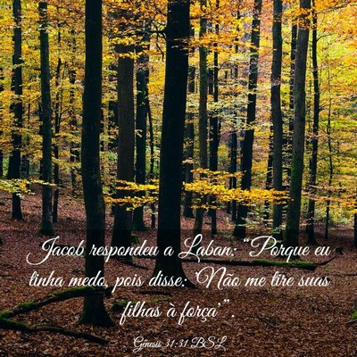 Picture 03 - Gênesis 31:31 BSL - Jacob respondeu a Laban: “Porque eu tinha medo, - Bible Verse Picture