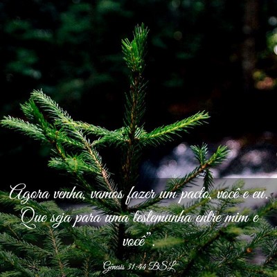 Picture 03 - Gênesis 31:44 BSL - Agora venha, vamos fazer um pacto, você e eu. - Bible Verse Picture