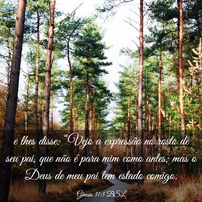 Picture 03 - Gênesis 31:5 BSL - e lhes disse: “Vejo a expressão no rosto de - Bible Verse Picture