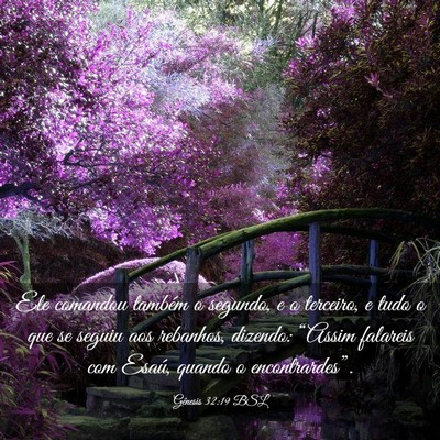 Picture 03 - Gênesis 32:19 BSL - Ele comandou também o segundo, e o terceiro, e - Bible Verse Picture