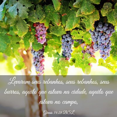 Picture 03 - Gênesis 34:28 BSL - Levaram seus rebanhos, seus rebanhos, seus - Bible Verse Picture